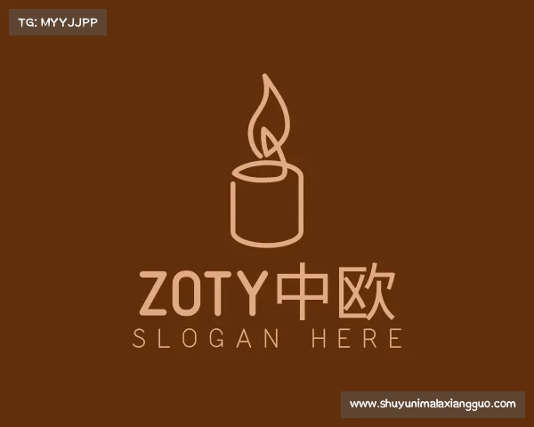 了解zoty中欧